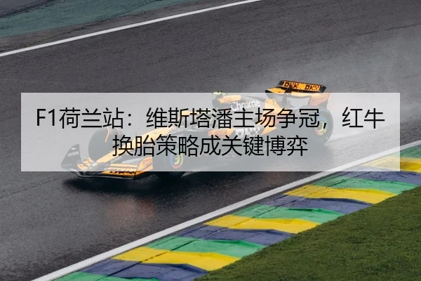 he-lan-zhan-wei-si-ta-pan-zhu-chang-zheng-guan-hong-niu-huan-tai-ce-lve-cheng-guan-jian-bo-yi-3-538.jpg