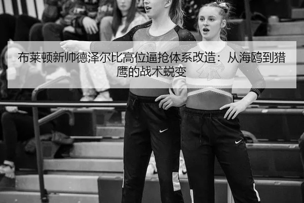 bu-lai-dun-xin-shuai-de-ze-er-bi-gao-wei-bi-qiang-ti-xi-gai-zao-cong-hai-ou-dao-lie-ying-de-zhan-shu-tui-bian-2-890.jpg
