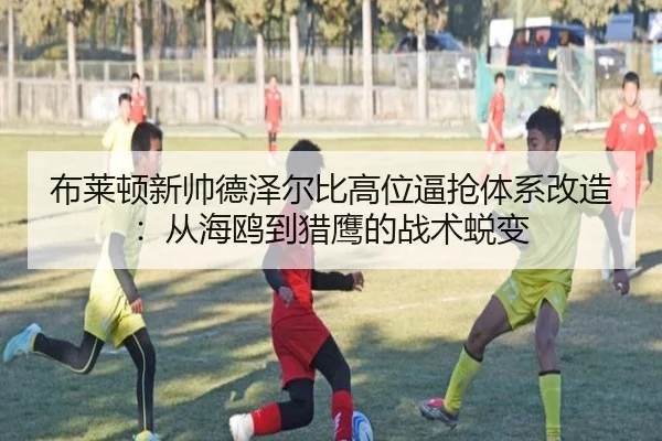 布莱顿新帅德泽尔比高位逼抢体系改造：从海鸥到猎鹰的战术蜕变